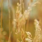 Faith on Fridays #10 – Back-to-School Time