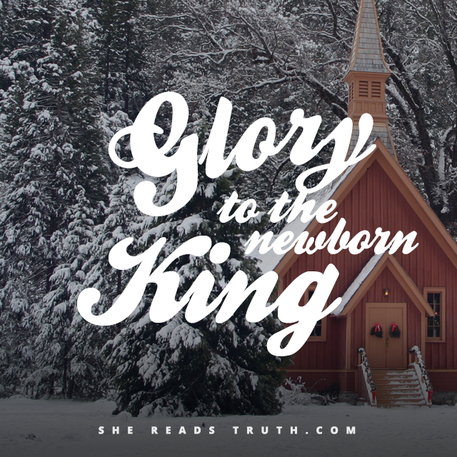 http://shereadstruth.com/wp-content/uploads/2014/12/SRT-Advent_instagram_day25.png