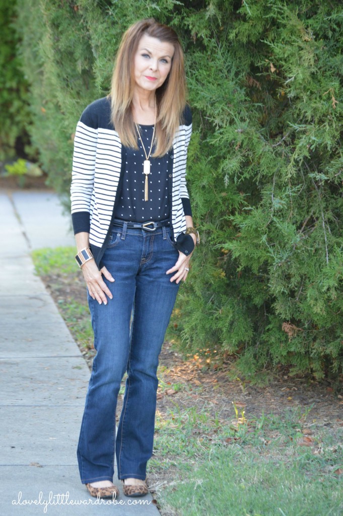 Fall Transition-Stripes