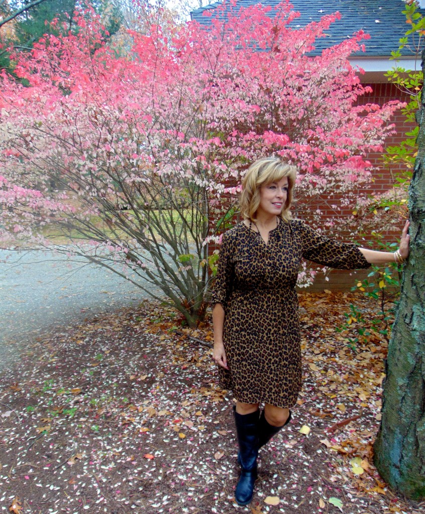 Leopard print dress, black riding boots