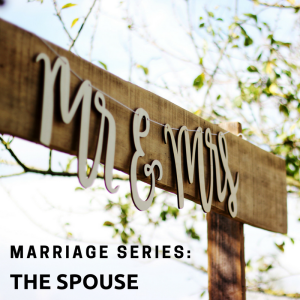 marriage series_